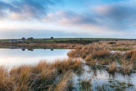 Cottages on the lakeside at Dozmary Pool on Bodmin Moor in Cornwallの写真素材