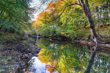 Autumn colour on the river Dart on Dartmoor National Park in Devonの写真素材