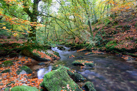 Autumn on the river Plym at Dewerstone woods on Dartmoor National Park in Devonの写真素材