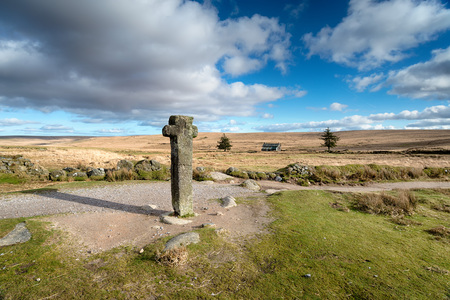 Bluebells growing at Emsworthy Mire on Dartmoor National Park in Devonの写真素材