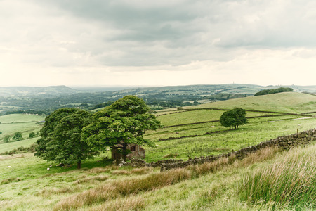 The ruins of Roach End Barn at the fot of the Roaches in the Peak District National Park in...
