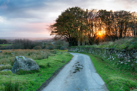 A country lane over Bodmin Moor in the Cornwall countrysideの写真素材