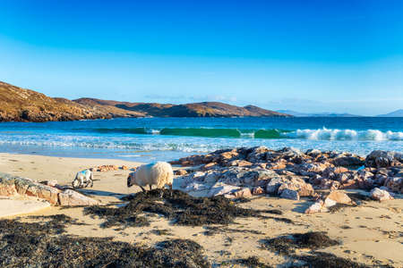 Clear blue skies over the beach at Hushinish on the Isle of Harris in the Western isles of Scotlandの写真素材