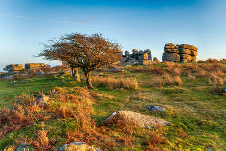 Combestone Tor near Hexworthy on Dartmoor National park in Devonの写真素材