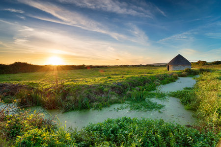 Sunset over an old round thatched barn on Braunton Marshes near Barnstaple in Devonの写真素材