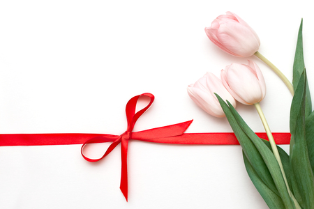 bouquet of tulips on white background with red ribbon tied in bowの写真素材
