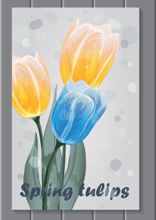 a bouquet of three tulips yellow blueのイラスト素材