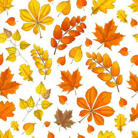 autumn pattern with fallen leaves in different colors brown red yellow painted lines vruchnuyuのイラスト素材