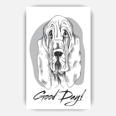 sad dog Basset hound hand-drawn marker wishing a good dayの写真素材