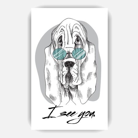 sad dog Basset hound hand-drawn markerの写真素材