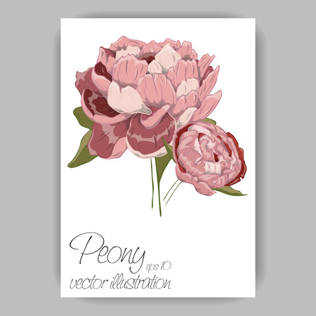 peony flower hand-drawn in red, pink, beige colorsのイラスト素材