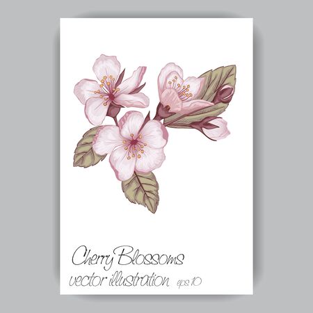 cherry blossom sprig hand-drawn in pink, brown, green colorsのイラスト素材
