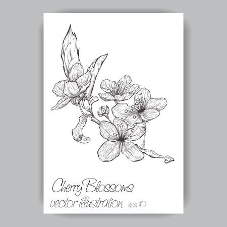 sprig of cherry blossoms hand-drawn in black and whiteのイラスト素材