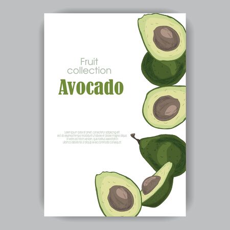 postcard with hand-drawn avocado of green and light green colors with leaves halves with a bone, without a bone and wholeのイラスト素材