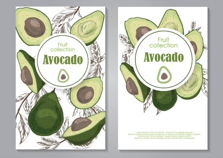 card with avocado hand drawn in green and light green colorsのイラスト素材