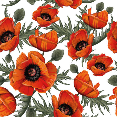 pattern of red poppies with a black center hand-drawnの写真素材