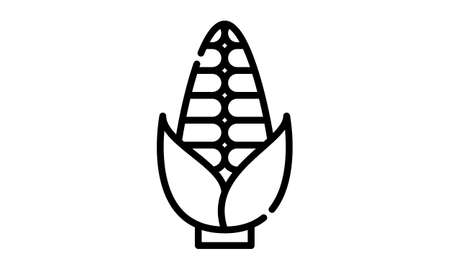 corn vector icon isolated on white background. Outline, thin line corn icon for website design and mobile, app development. Thin line corn outline icon vector illustrationのイラスト素材