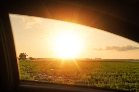 Paddy field with background sunset, view from the window carの写真素材