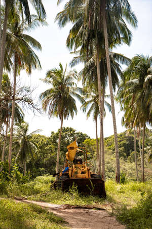 September 25, 2020: Pulau Redang Terengganu, Malaysia: Abandoned yellow backhoe on the land with coconut tree as a backgroundのeditorial素材