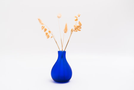 Dry color grass flower in a blue curve vase for interior decoration. Studio shot and isolated on white backgroundの写真素材