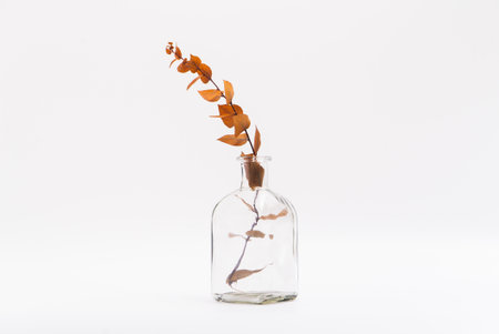 Dry color grass flower in a bronze classic vase for interior decoration. Studio shot and isolated on white backgroundの写真素材