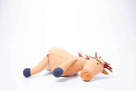 Little donkey soft toys isolated on white background.の写真素材