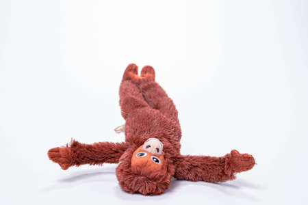 Little monkey soft toys isolated on white background.の写真素材