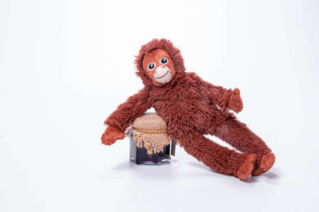 Little monkey soft toys isolated on white background.の写真素材