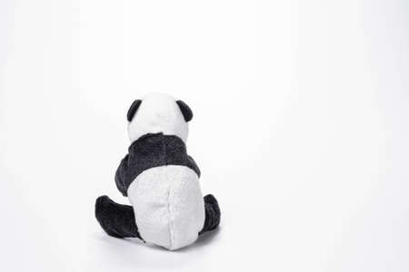 Little panda soft toys isolated on white background. Copy space.の写真素材