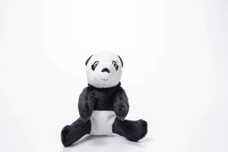 Little panda soft toys isolated on white background. Copy space.の写真素材