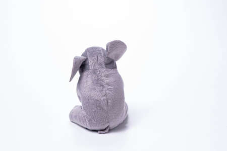Little elephant soft toys isolated on white background. copy spaceの写真素材