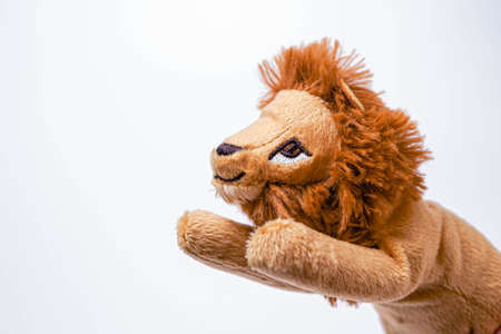 Little lion soft toys isolated on white background. copy spaceの写真素材