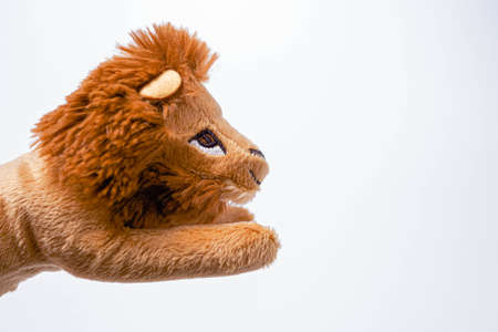 Little lion soft toys isolated on white background. copy spaceの写真素材