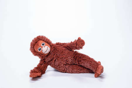 Little monkey soft toys isolated on white background.の写真素材