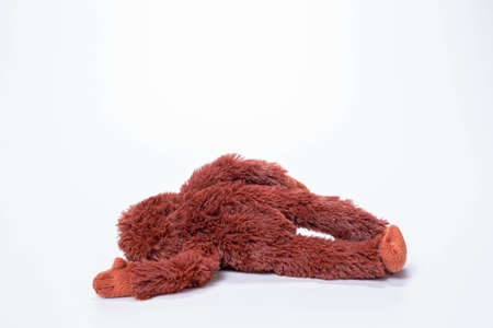 Little monkey soft toys isolated on white background.の写真素材