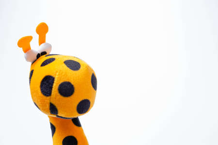 Little yellow giraffe soft toys isolated on white background. copy spaceの写真素材