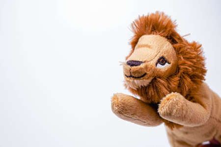 Little lion soft toys isolated on white background. copy spaceの写真素材