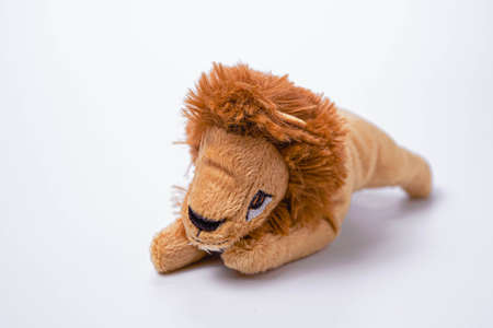 Little lion soft toys isolated on white background. copy spaceの写真素材