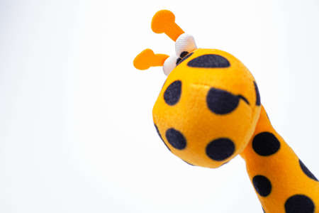 Little yellow giraffe soft toys isolated on white background. copy spaceの写真素材