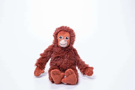 Little monkey soft toys isolated on white background.の写真素材