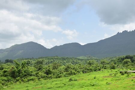 Green sceneryのeditorial素材