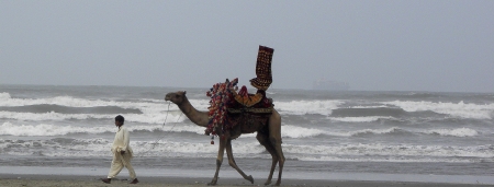 PAKISTAN/KARACHI_EMPTY CAMEL RIDE WALKING IN BEACH WITHOUT RIDER AT KARACHI SEA VIEW. TODAY ON THURSDAY 6 SEPTEMBER  2012                              のeditorial素材