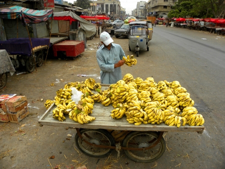 KARACHI/PAKISTAN_DAILY VENDOR ARRANGING HIS BANANAS FOR SALE IN THE MORNING TODAY ON SATURDAY 19 JANUARY 2013 IN SADDAR FRUIT MARKET                               のeditorial素材