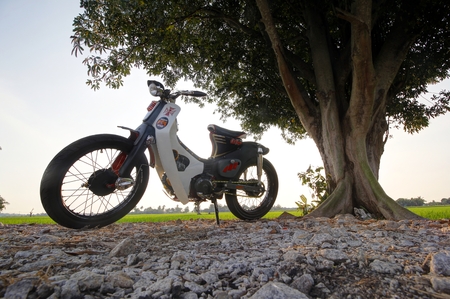Honda C70 custom side view with paddy field view backgroundのeditorial素材