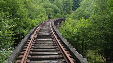 Railroad track curving into the woodsの写真素材