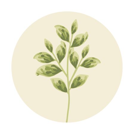 green leaf floral elementのイラスト素材