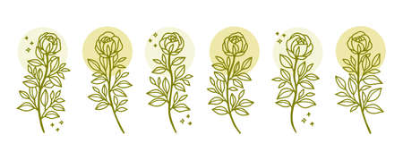 Set of hand drawn botanical rose flower and leaf branch elementsのイラスト素材
