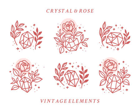 Set of hand drawn vintage crystal and botanical rose floral logo elementのイラスト素材