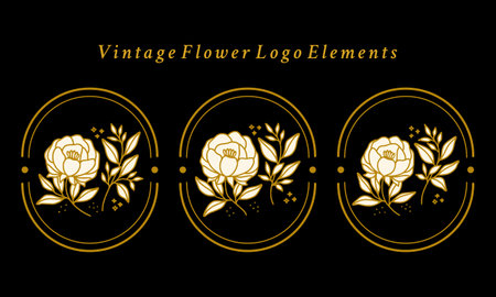 Hand drawn vintage botanical peony flower logo element collectionのイラスト素材
