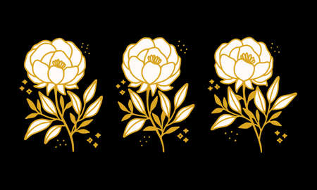Hand drawn vintage botanical peony flower logo element collectionのイラスト素材